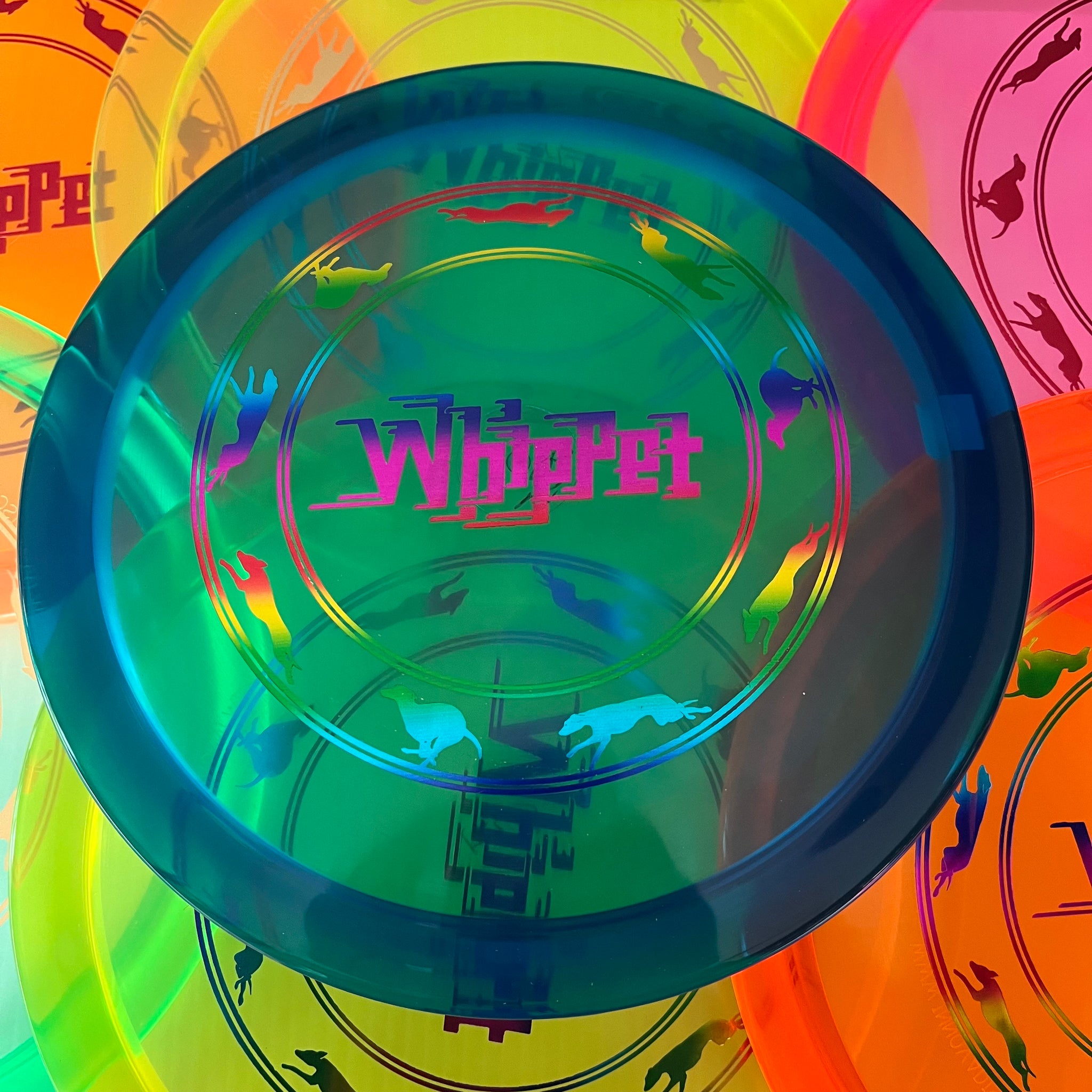 Innova Champion Whippet X 6/3/1/5