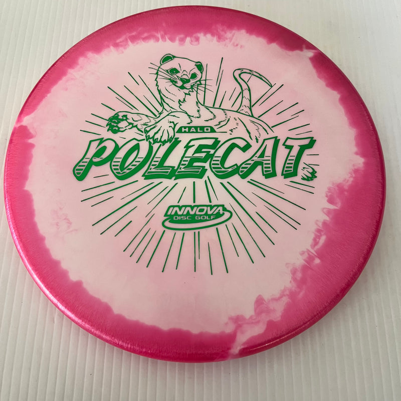 Innova Factory Store No Flight Numbers Halo Star Polecat 1/3/0/0