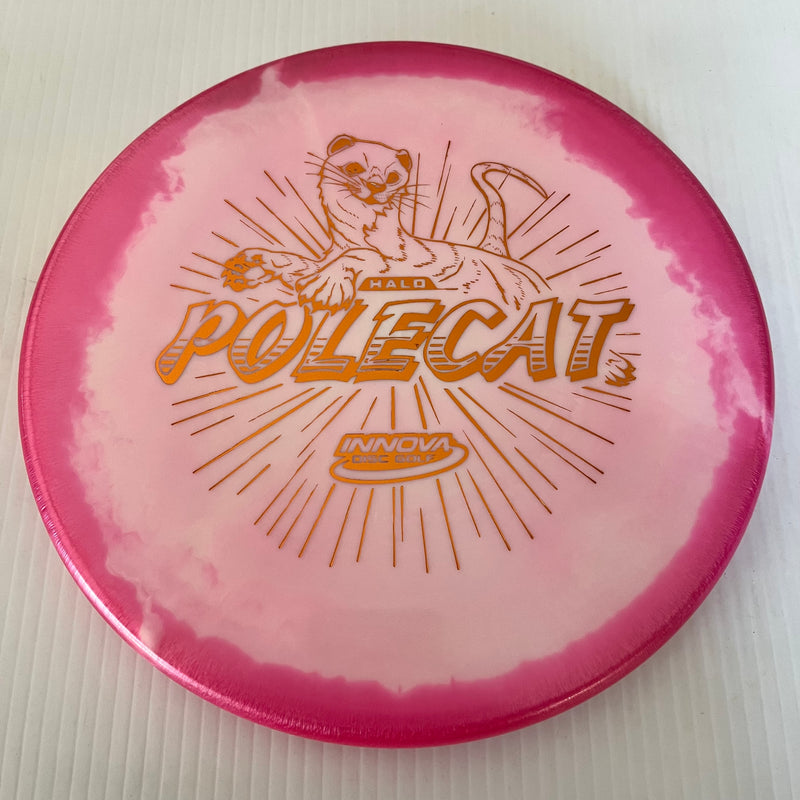 Innova Factory Store No Flight Numbers Halo Star Polecat 1/3/0/0