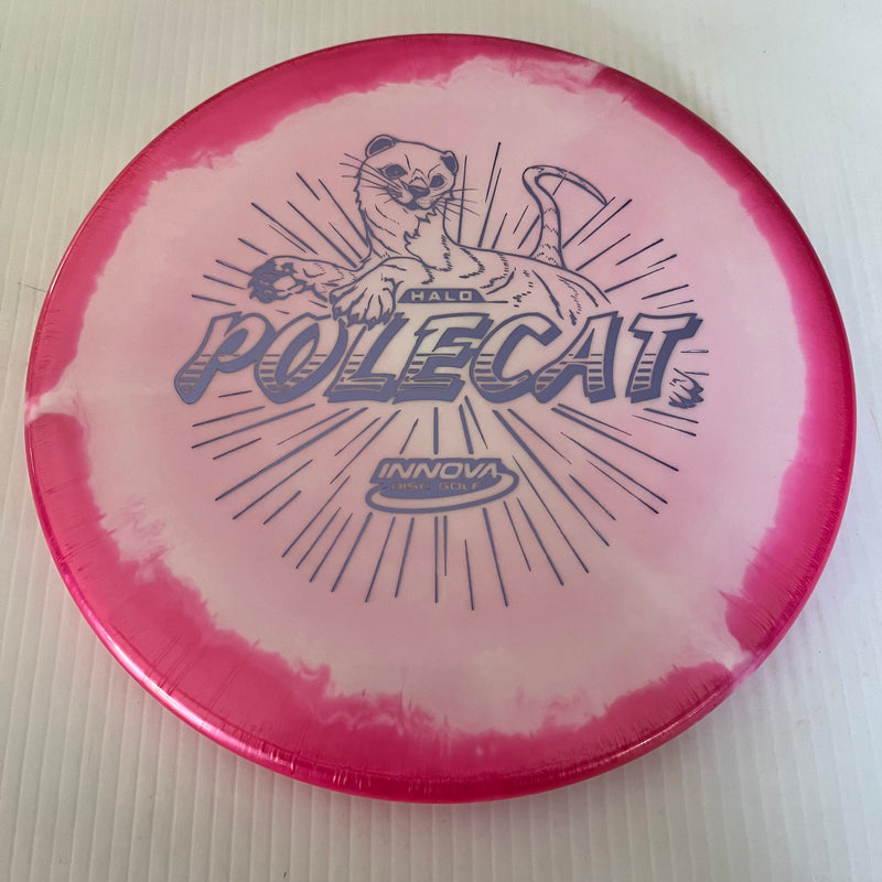 Innova Factory Store No Flight Numbers Halo Star Polecat 1/3/0/0