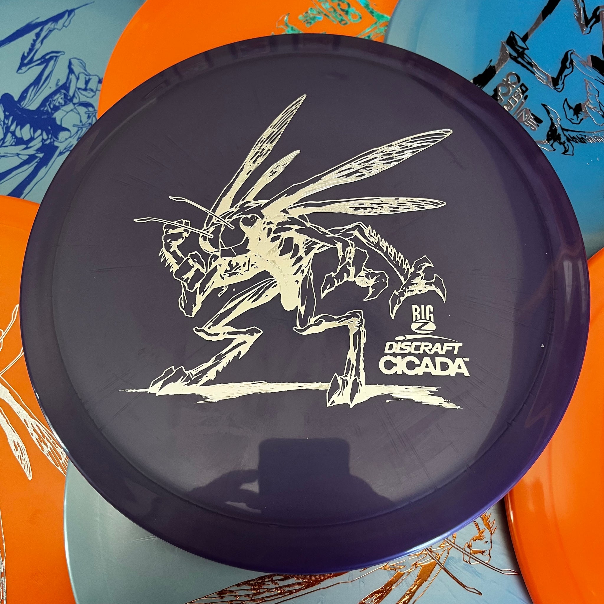 Discraft BigZ Cicada 7/6/-1/1