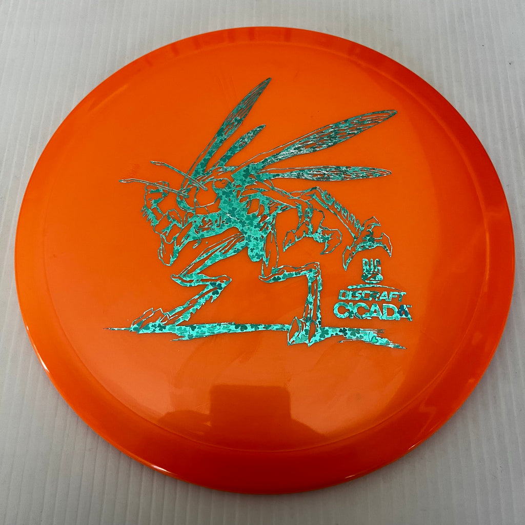 Discraft BigZ Cicada 7/6/-1/1