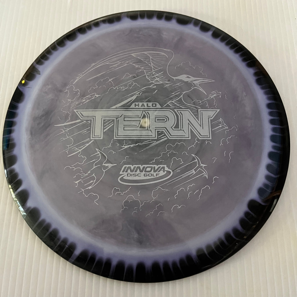 Innova "No Flight Numbers" Halo Star Tern 12/6/-3/2