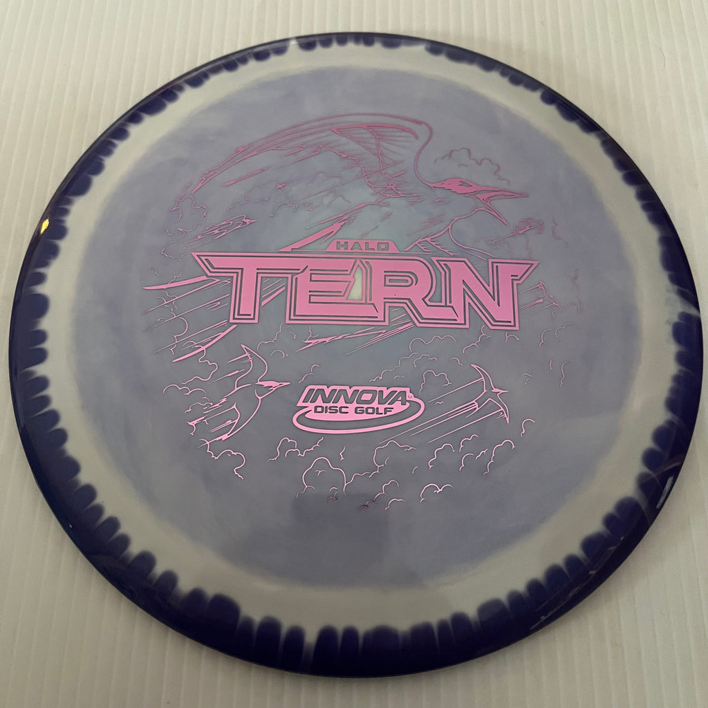 Innova "No Flight Numbers" Halo Star Tern 12/6/-3/2