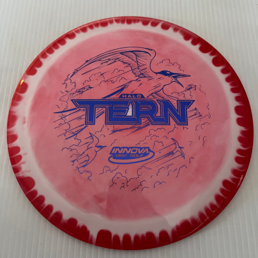 Innova "No Flight Numbers" Halo Star Tern 12/6/-3/2