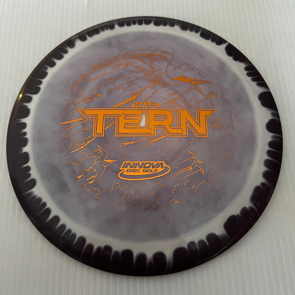 Innova "No Flight Numbers" Halo Star Tern 12/6/-3/2