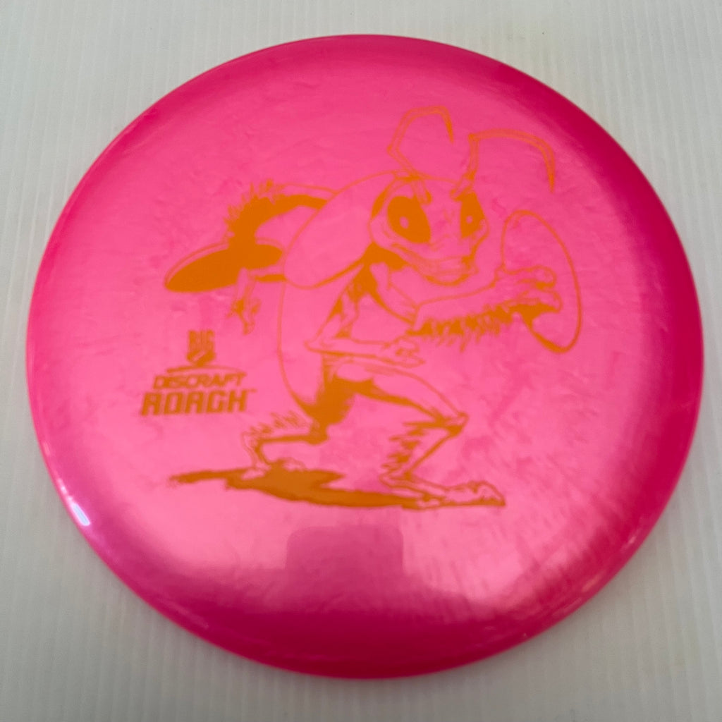 Discraft BigZ Roach 2/4/0/1 (173-174) grams